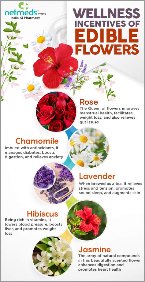 edible flowers benefits.